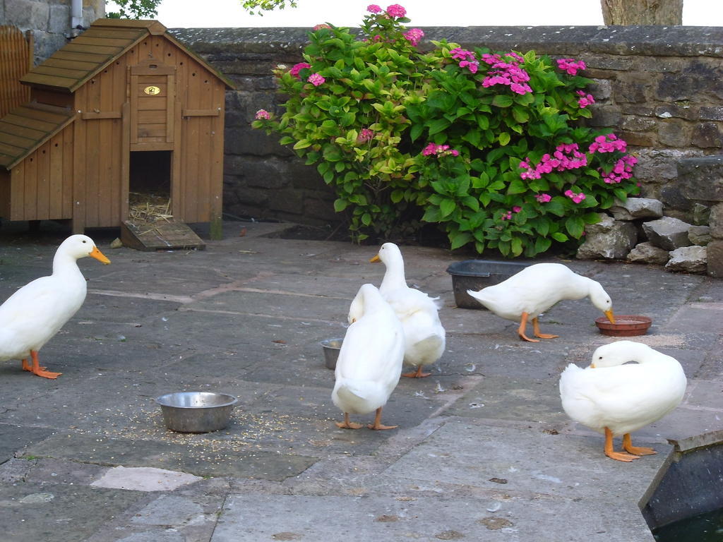 Tithe Barn Bed And Breakfast 칸포스 외부 사진